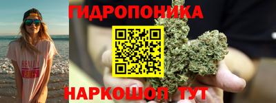 трава Сланцы