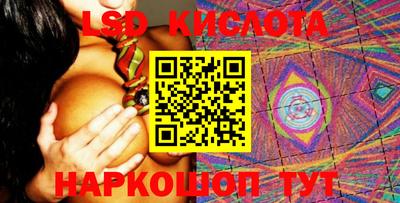 трава Сланцы