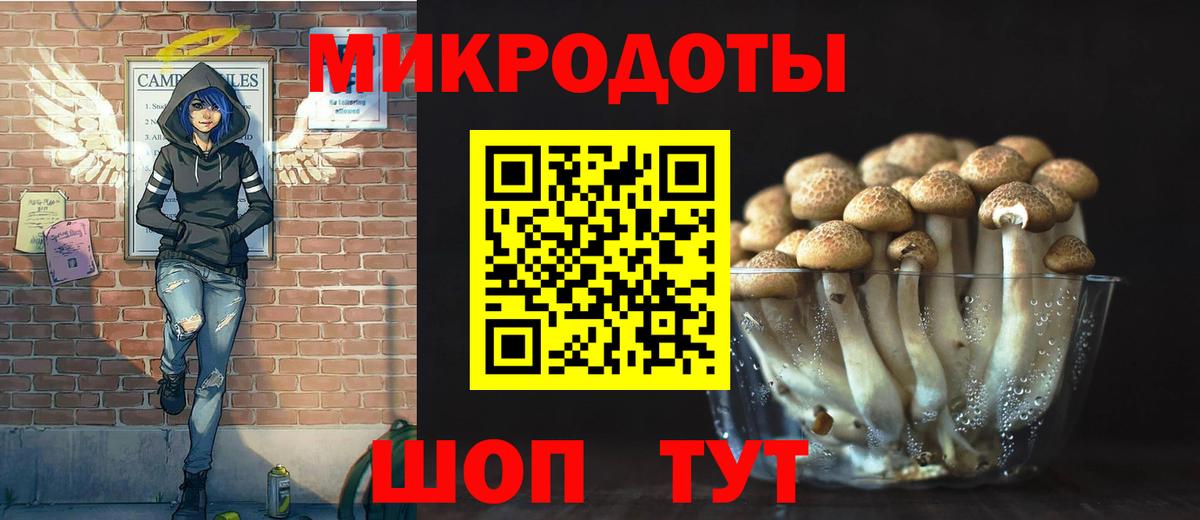 купить  сайты  Псилоцибиновые грибы Psilocybe  Вход с VPN  Мыски 
