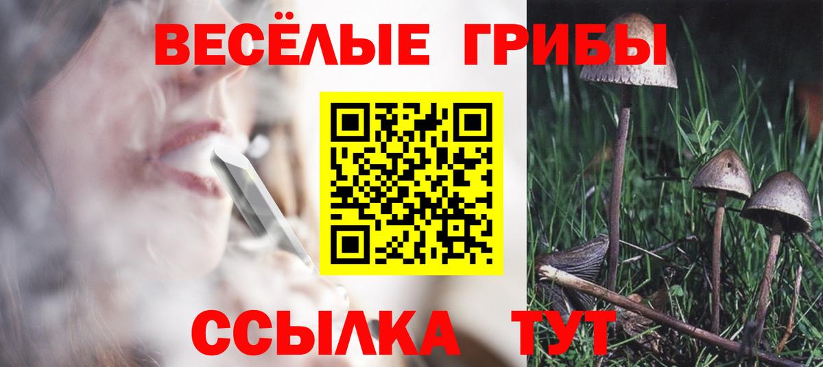 Псилоцибиновые грибы мухоморы Мыски